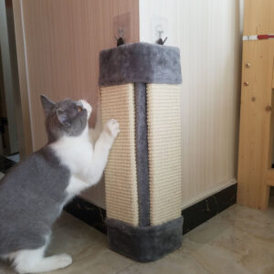 Cat Scratcher Foldable Environmentally Friendly Pet Toy