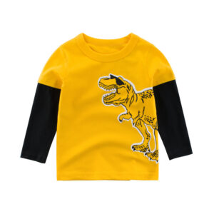 Two long sleeve t-shirts