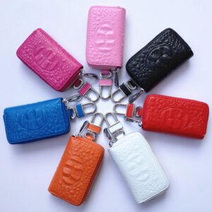 Car Key Case & Keychain