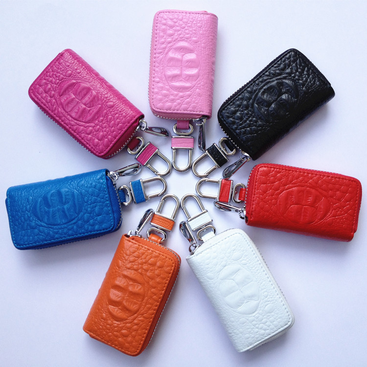 Car Key Case & Keychain 1 Car Key Case & Keychain