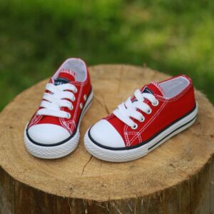 Canvas Shoes