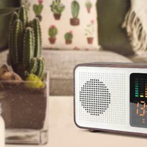 Retro Radio & Bluetooth Speaker