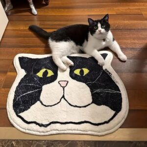 Creative Non Slip Floor Mats