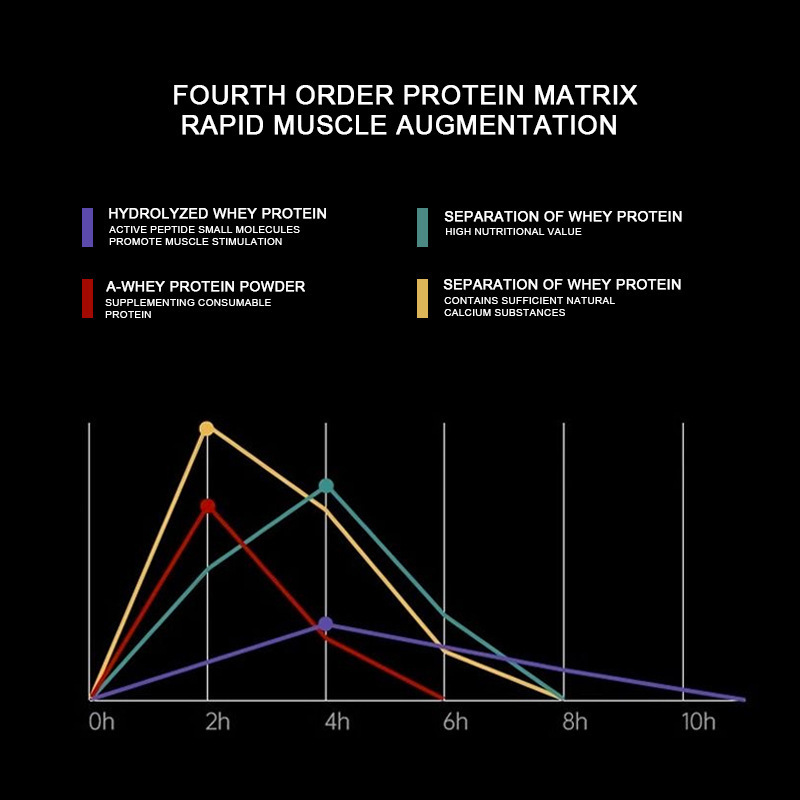Whey Protein Powder Dried Egg White Chocolate Flavor 2 Whey Protein Powder Dried Egg White Chocolate Flavor - Image 2