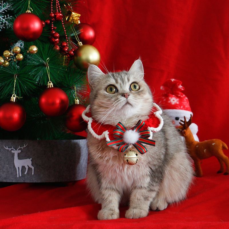 Pet British Short Christmas Scarf 8 Pet British Short Christmas Scarf - Image 8
