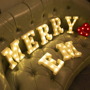 Luminous LED Night Light