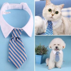 Adjustable Pet Neck Bow Tie for Small Dogs and Puppies