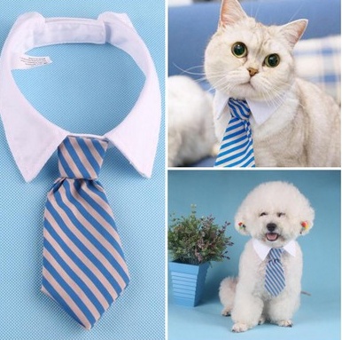 Adjustable Pet Neck Bow Tie for Small Dogs and Puppies 1 Adjustable Pet Neck Bow Tie for Small Dogs and Puppies
