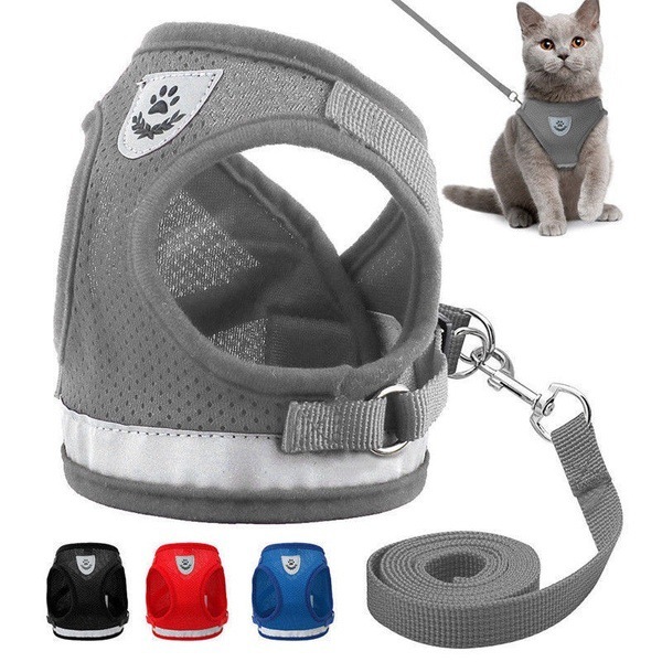 Pet Leash Breathable Mesh Chest Back 1 Pet Leash Breathable Mesh Chest Back