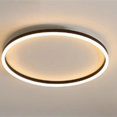 Ceiling Lighting 7 Ceiling Lighting - Image 7