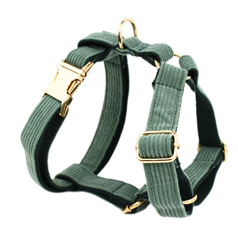 Luxury Velvet Dog Collar for Everyday Comfort and Style 2 Luxury Velvet Dog Collar for Everyday Comfort and Style - Image 2