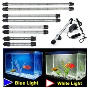 Aquarium-box Floodlight highlights