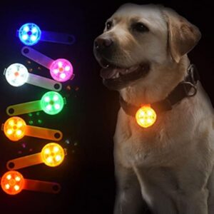 LED Glow Pet Safety Pendant for Dog Collars & Leashes – Night Walking Light