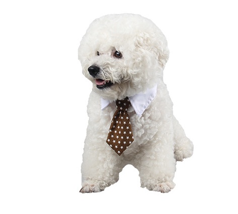 Adjustable Pet Neck Bow Tie for Small Dogs and Puppies 5 Adjustable Pet Neck Bow Tie for Small Dogs and Puppies - Image 5
