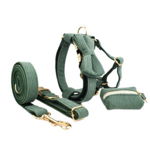 Luxury Velvet Dog Collar for Everyday Comfort and Style