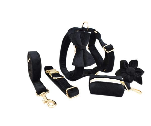 Premium Velvet Pet Collar – Soft, Stylish & Comfortable 6 Premium Velvet Pet Collar – Soft, Stylish & Comfortable - Image 6