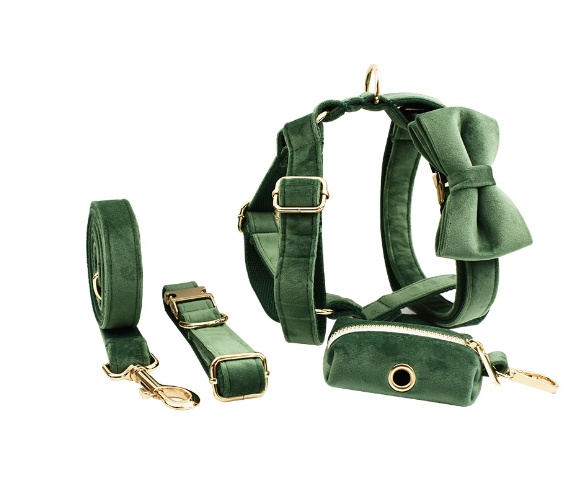 Premium Velvet Pet Collar – Soft, Stylish & Comfortable 2 Premium Velvet Pet Collar – Soft, Stylish & Comfortable - Image 2