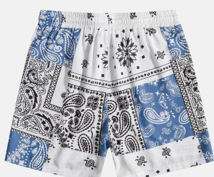 Quick-drying Loose-fitting Casual Shorts 2 Quick-drying Loose-fitting Casual Shorts - Image 2
