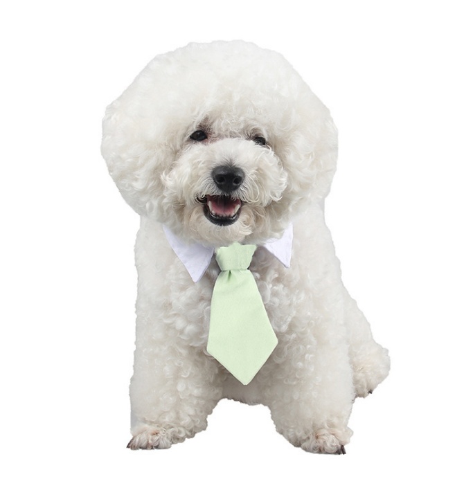 Adjustable Pet Neck Bow Tie for Small Dogs and Puppies 8 Adjustable Pet Neck Bow Tie for Small Dogs and Puppies - Image 8