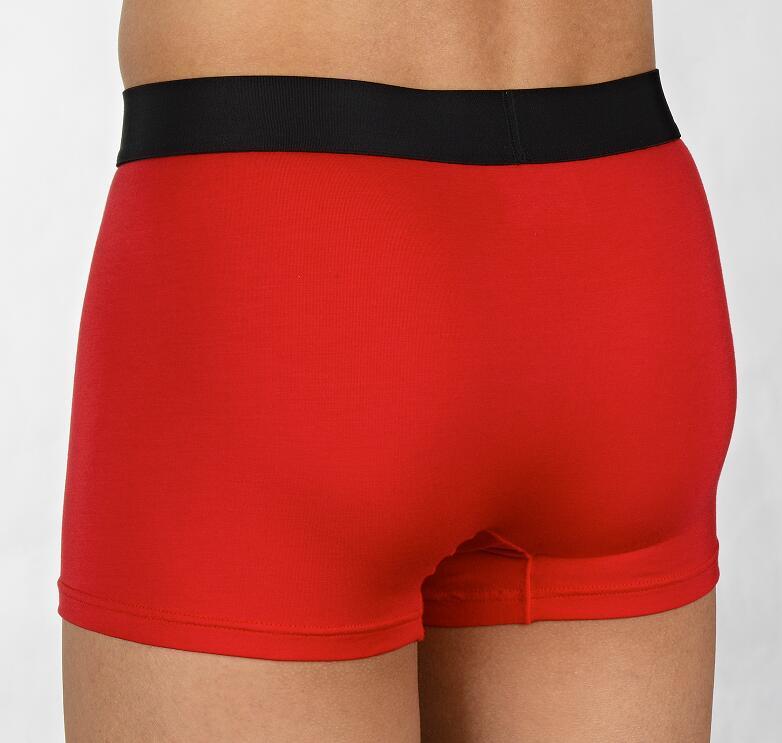 Men's Boxer Briefs 5 Men's Boxer Briefs - Image 5