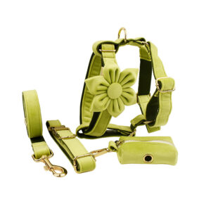 Premium Velvet Pet Collar – Soft, Stylish & Comfortable