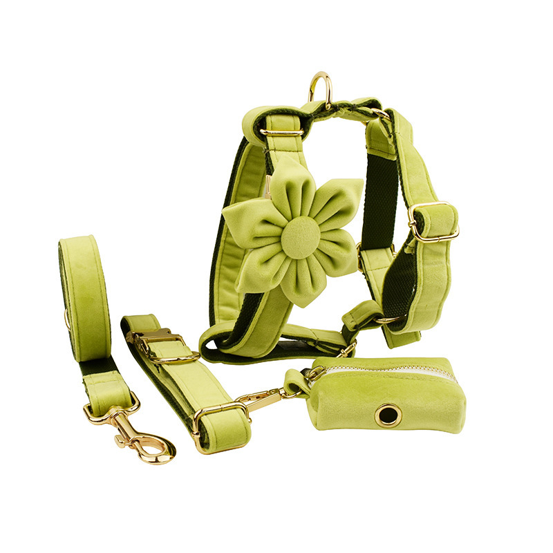 Premium Velvet Pet Collar – Soft, Stylish & Comfortable 1 Premium Velvet Pet Collar – Soft, Stylish & Comfortable