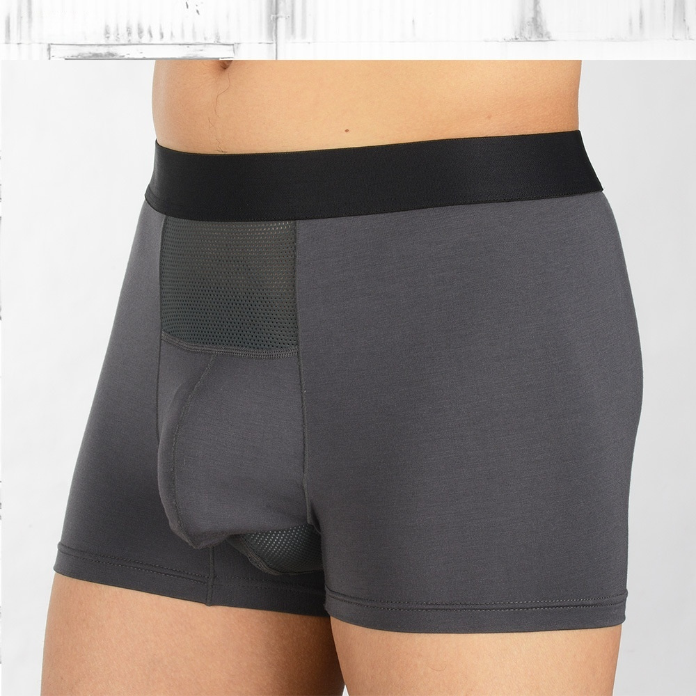 Men's Boxer Briefs 1 Men's Boxer Briefs