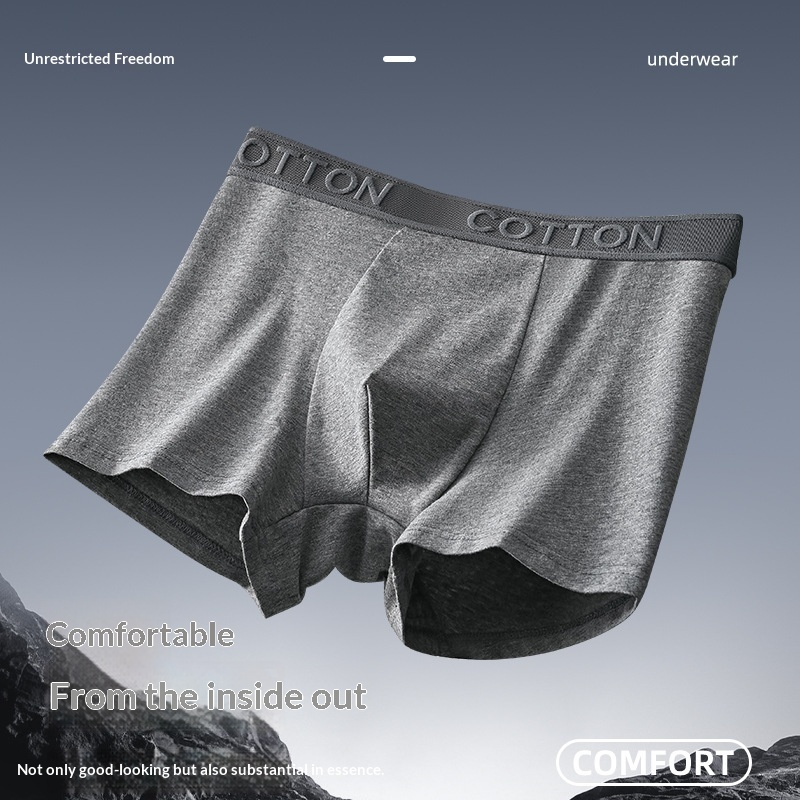High-End Antibacterial Cotton Boxer Briefs For Men 3 High-End Antibacterial Cotton Boxer Briefs For Men - Image 3