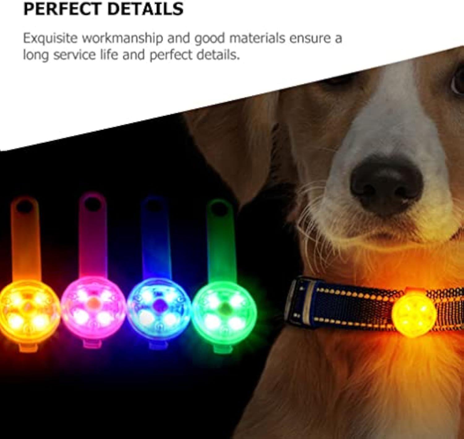 LED Glow Pet Safety Pendant for Dog Collars & Leashes – Night Walking Light 9 LED Glow Pet Safety Pendant for Dog Collars & Leashes – Night Walking Light - Image 9