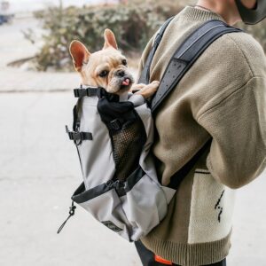 Pet Carrier Double Shoulder Style