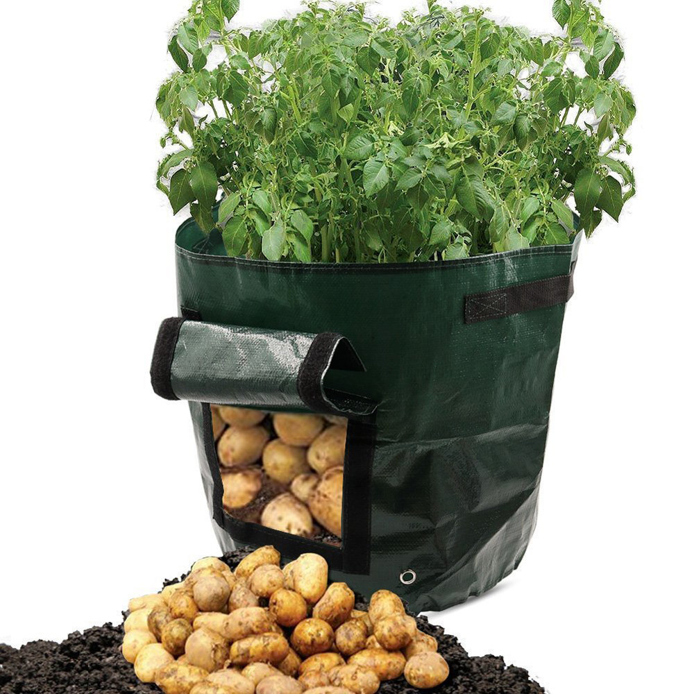 PE Cloth Planting Bag 1 PE Cloth Planting Bag