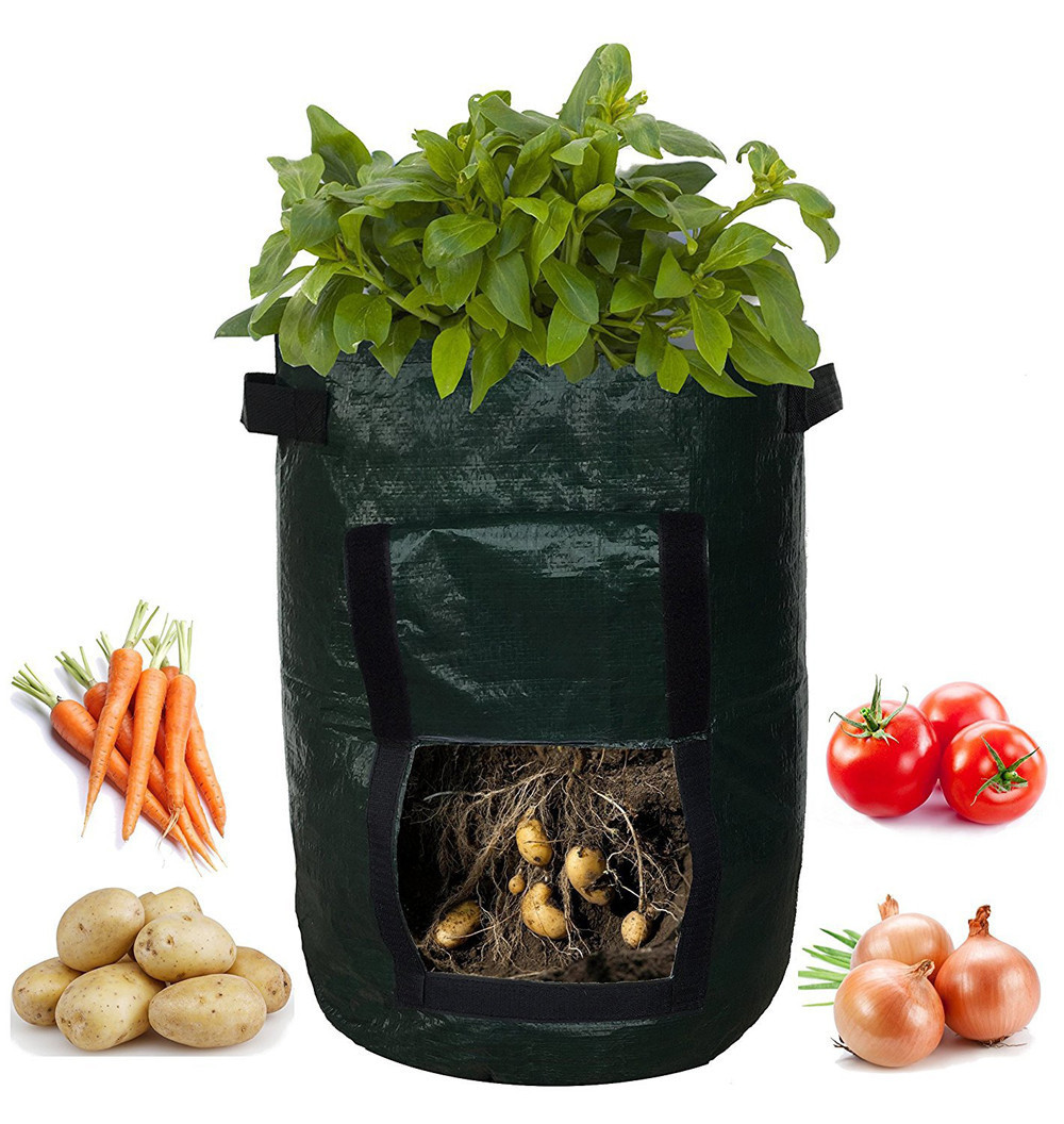 PE Cloth Planting Bag 5 PE Cloth Planting Bag - Image 5