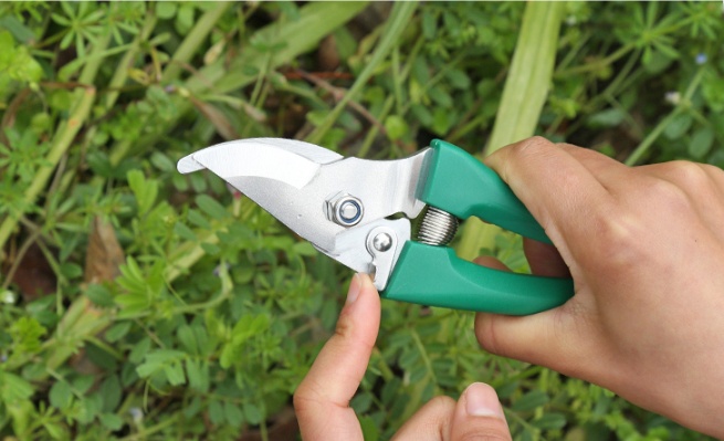 Ten-piece Gardening Tool Set 5 Ten-piece Gardening Tool Set - Image 5