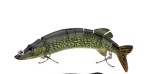 Multistage Bionic Lure