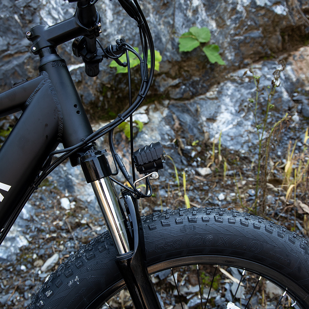 Professional Electric Bike, 26 X 4.0 Inches Fat Tire Electric Mountain Bicycle, 1000W Motor 48V 15Ah E-bike For Trail Riding, Excursion And Commute, UL And GCC Certified 2 Professional Electric Bike, 26 X 4.0 Inches Fat Tire Electric Mountain Bicycle, 1000W Motor 48V 15Ah E-bike For Trail Riding, Excursion And Commute, UL And GCC Certified - Image 2