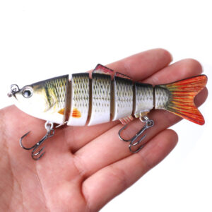 Fish Lures