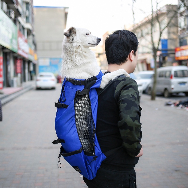 Pet Carrier Double Shoulder Style 7 Pet Carrier Double Shoulder Style - Image 7
