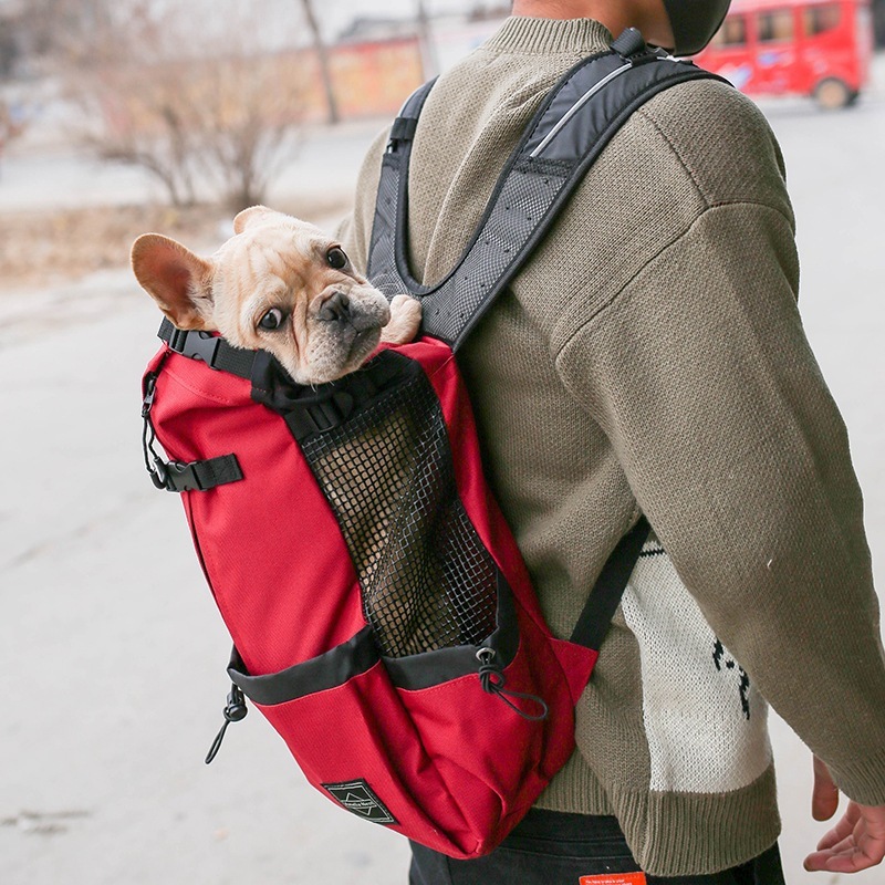 Pet Carrier Double Shoulder Style 3 Pet Carrier Double Shoulder Style - Image 3