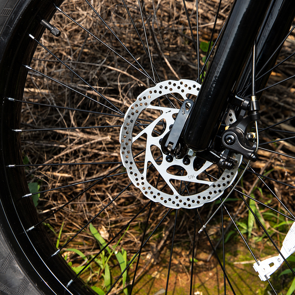 Professional Electric Bike, 26 X 4.0 Inches Fat Tire Electric Mountain Bicycle, 1000W Motor 48V 15Ah E-bike For Trail Riding, Excursion And Commute, UL And GCC Certified 10 Professional Electric Bike, 26 X 4.0 Inches Fat Tire Electric Mountain Bicycle, 1000W Motor 48V 15Ah E-bike For Trail Riding, Excursion And Commute, UL And GCC Certified - Image 10