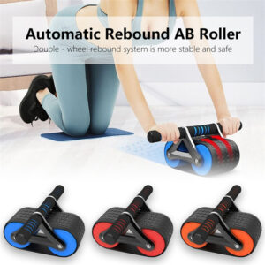 Double Wheel Abdominal Exerciser Abs Roller