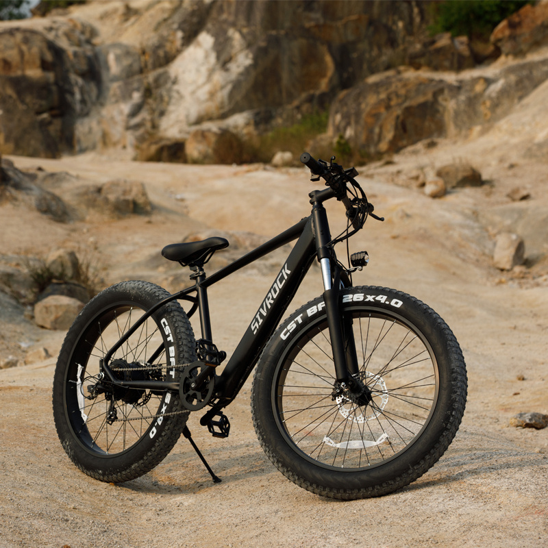 Professional Electric Bike, 26 X 4.0 Inches Fat Tire Electric Mountain Bicycle, 1000W Motor 48V 15Ah E-bike For Trail Riding, Excursion And Commute, UL And GCC Certified 6 Professional Electric Bike, 26 X 4.0 Inches Fat Tire Electric Mountain Bicycle, 1000W Motor 48V 15Ah E-bike For Trail Riding, Excursion And Commute, UL And GCC Certified - Image 6