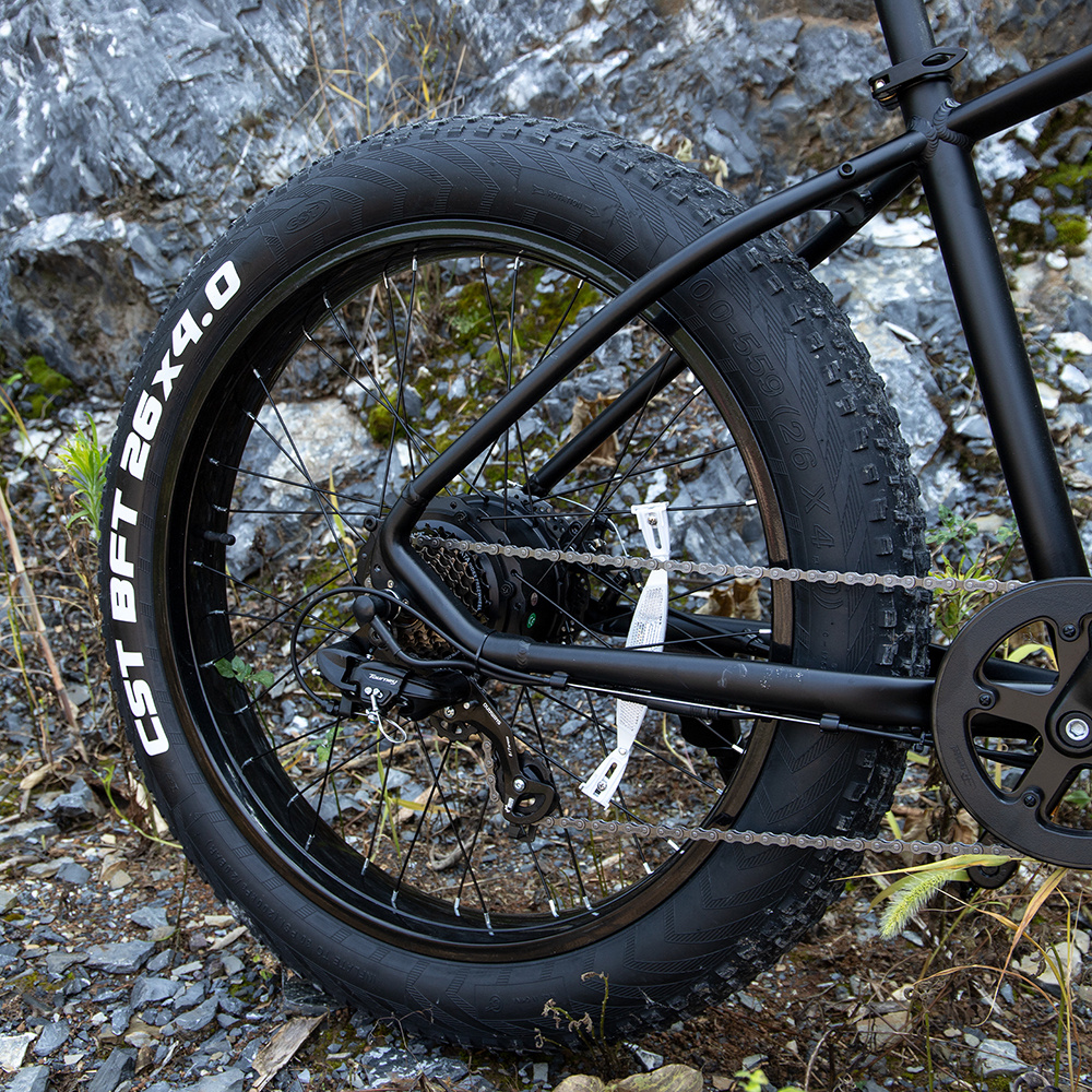 Professional Electric Bike, 26 X 4.0 Inches Fat Tire Electric Mountain Bicycle, 1000W Motor 48V 15Ah E-bike For Trail Riding, Excursion And Commute, UL And GCC Certified 8 Professional Electric Bike, 26 X 4.0 Inches Fat Tire Electric Mountain Bicycle, 1000W Motor 48V 15Ah E-bike For Trail Riding, Excursion And Commute, UL And GCC Certified - Image 8
