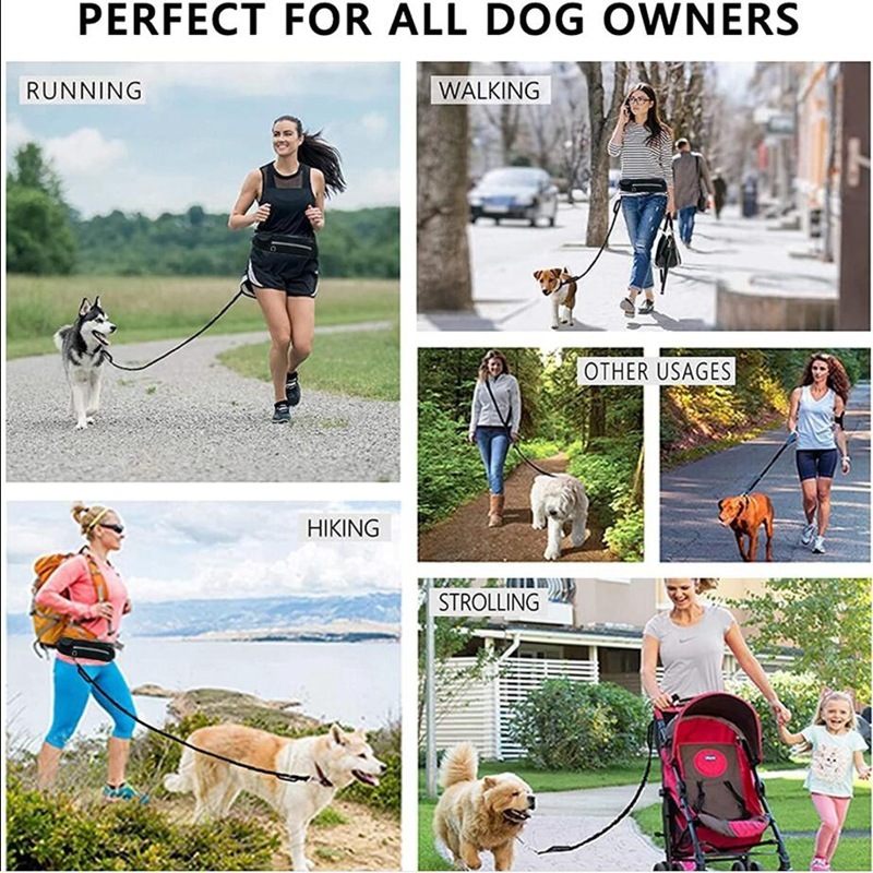 Hands Free Dog Leash Shock Absorbing Phone Pocket And Water Bottle Holder 6 Hands Free Dog Leash Shock Absorbing Phone Pocket And Water Bottle Holder - Image 6