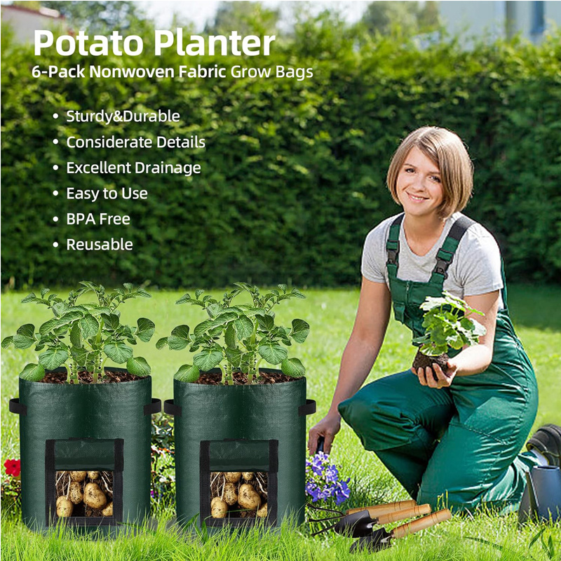 10 Gallon -6 Pack Potato Grow, PE Fabric With Flap And Handles, Green Planter Bags 7 10 Gallon -6 Pack Potato Grow, PE Fabric With Flap And Handles, Green Planter Bags - Image 7