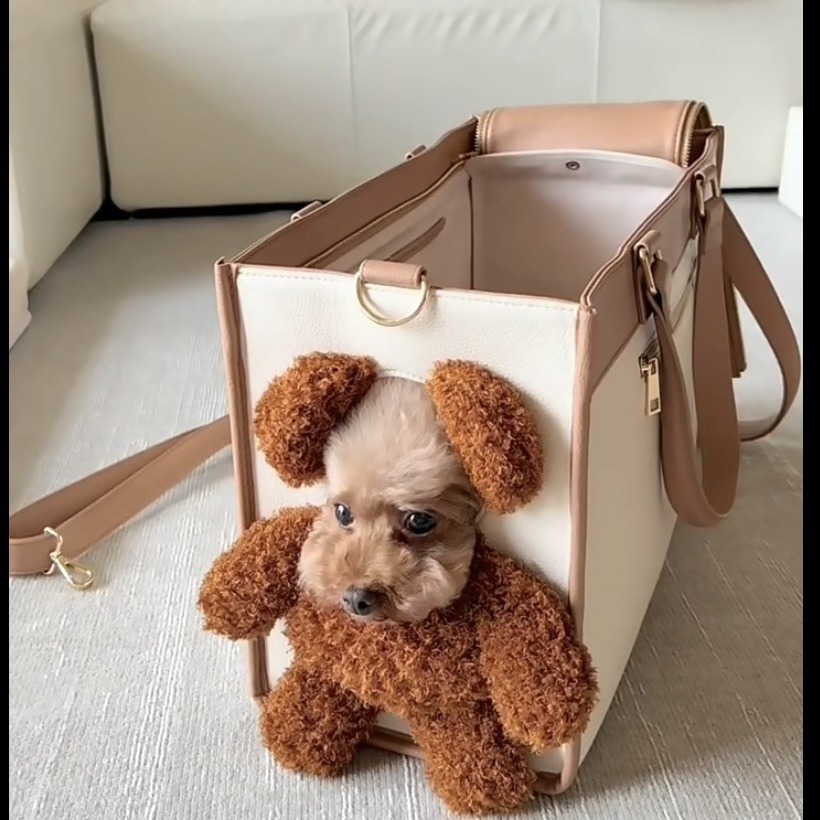Creative Pet Carry Bag Large Capacity One-Shoulder Tilt Straddle Tote 4 Creative Pet Carry Bag Large Capacity One-Shoulder Tilt Straddle Tote - Image 4