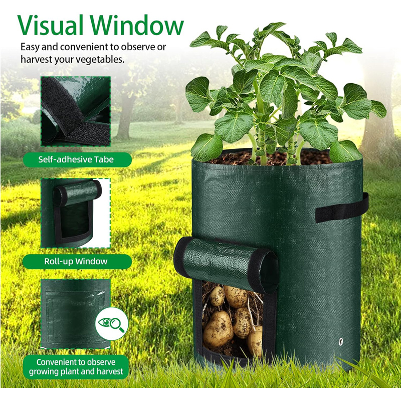 10 Gallon -6 Pack Potato Grow, PE Fabric With Flap And Handles, Green Planter Bags 6 10 Gallon -6 Pack Potato Grow, PE Fabric With Flap And Handles, Green Planter Bags - Image 6