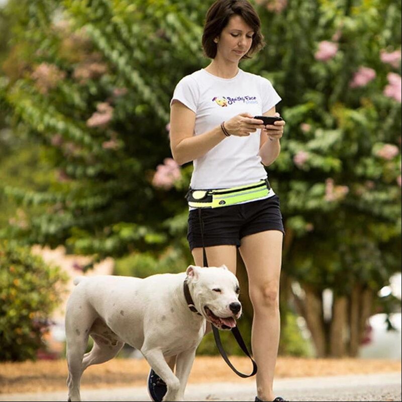 Hands Free Dog Leash Shock Absorbing Phone Pocket And Water Bottle Holder 3 Hands Free Dog Leash Shock Absorbing Phone Pocket And Water Bottle Holder - Image 3