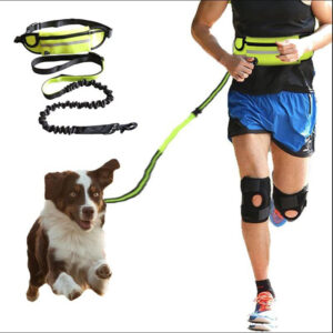 Hands Free Dog Leash Shock Absorbing Phone Pocket And Water Bottle Holder