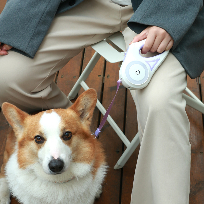 Dog Retractable Leash And Collar Spotlight 2 Dog Retractable Leash And Collar Spotlight - Image 2
