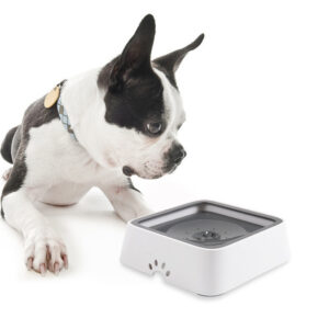 2L Cat And Dog Anti-overflow Basin With Floating Bowl